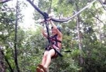 Canopy Tour, Sky Way & Horseback Ride